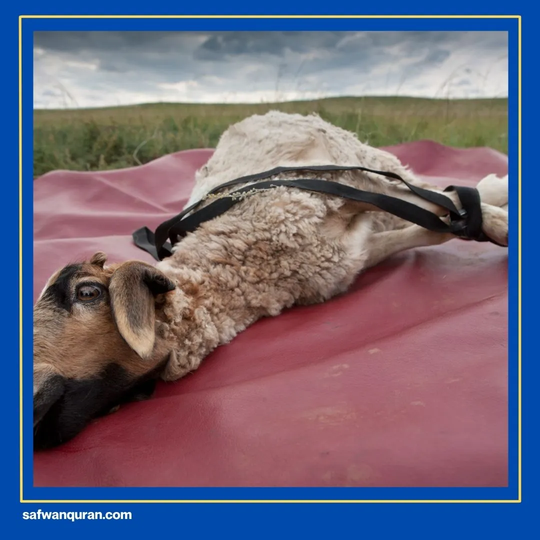 Ayat AlQuran Tentang Haji dan Umroh