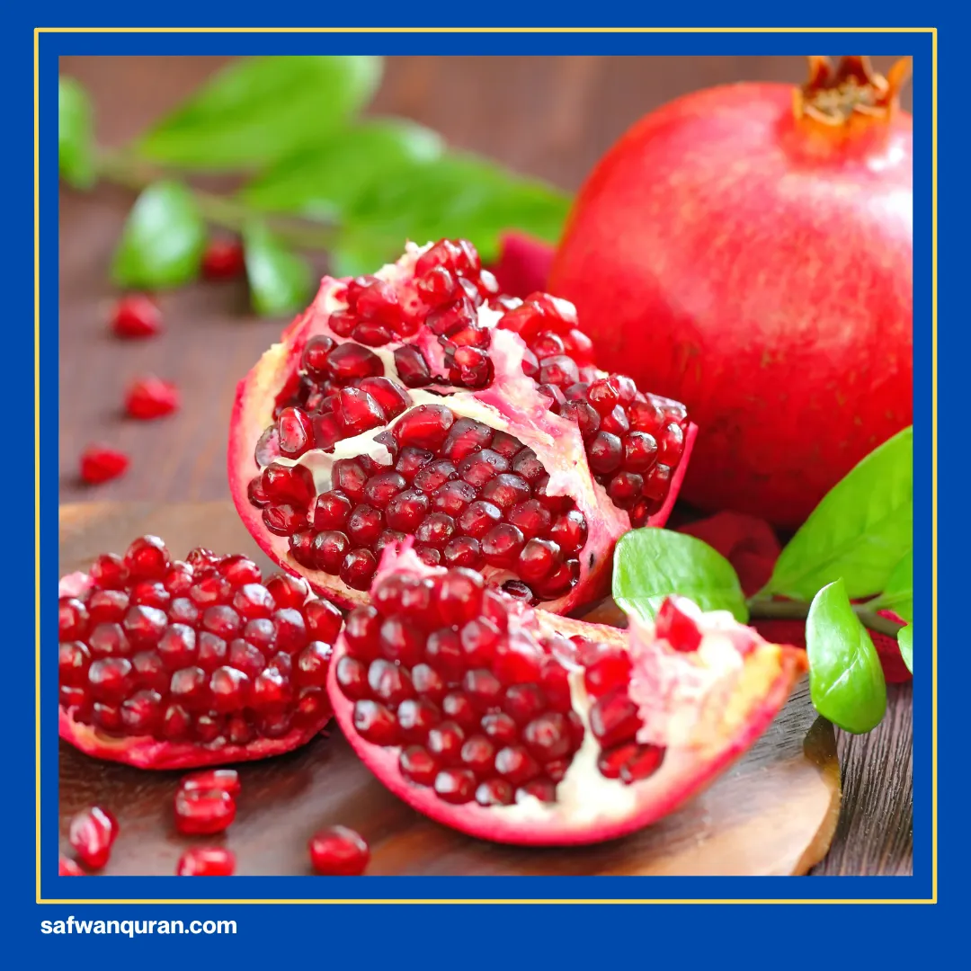 buah untuk cepat hamil menurut islam