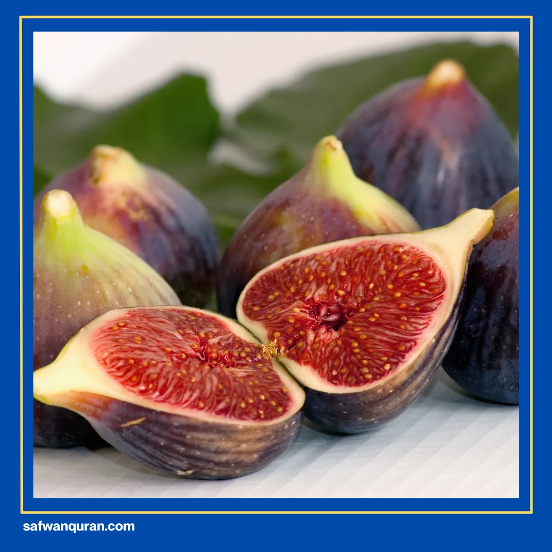 buah untuk cepat hamil menurut islam