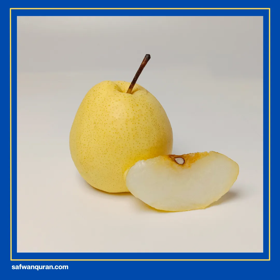 Manfaat Pir Untuk Ibu Hamil