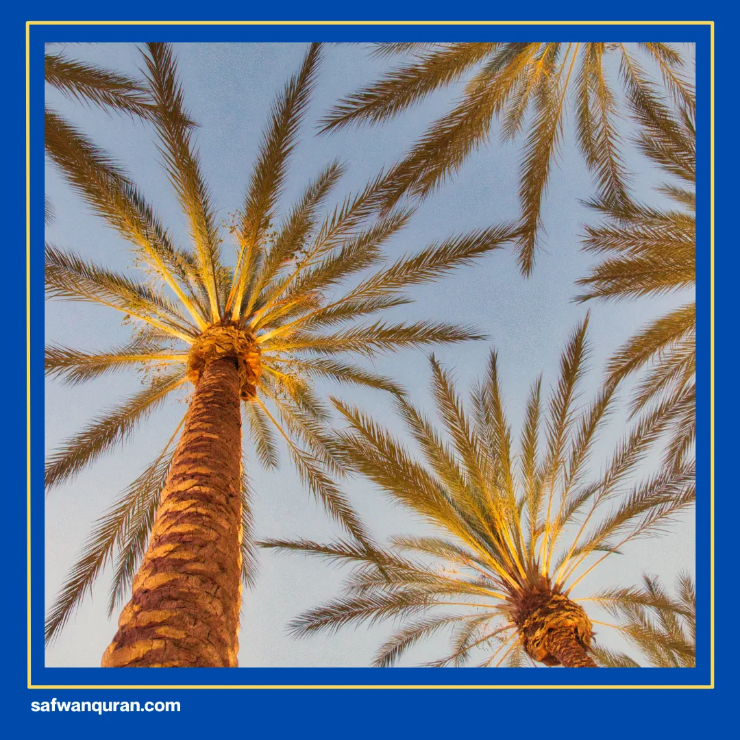 Makam Rasulullah Berada di Kota