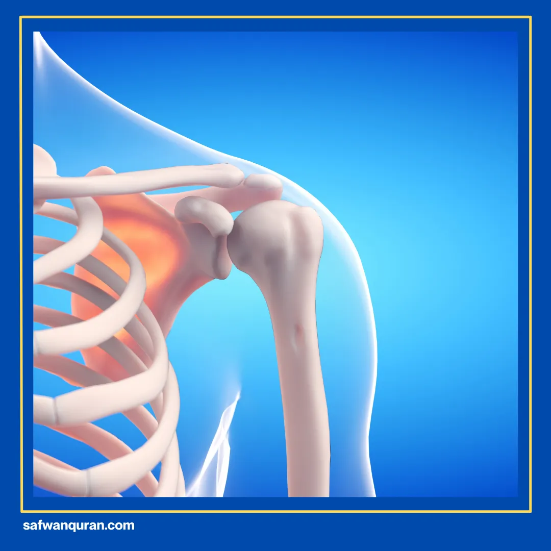 Fase Pasca Embrionik pada Manusia