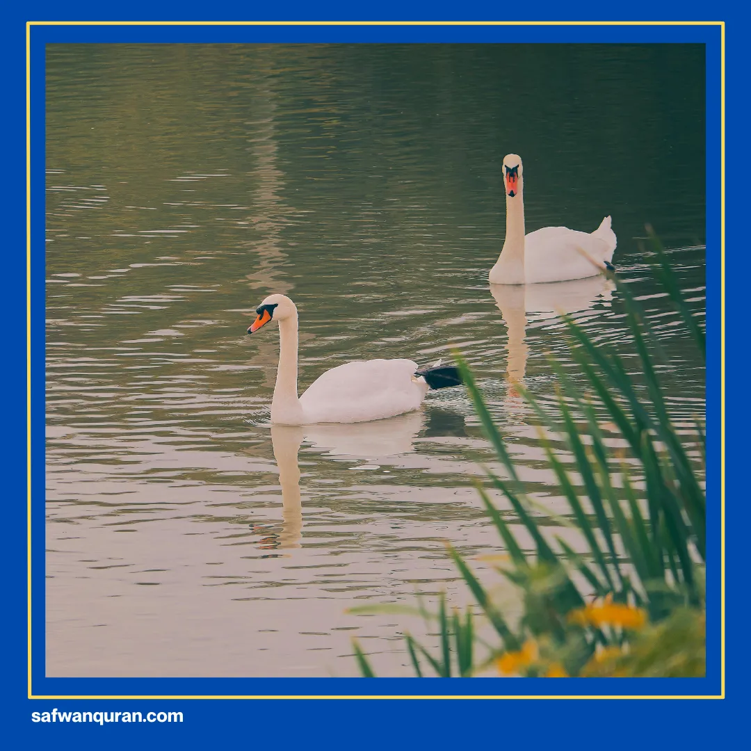 Tanda Kebesaran Allah