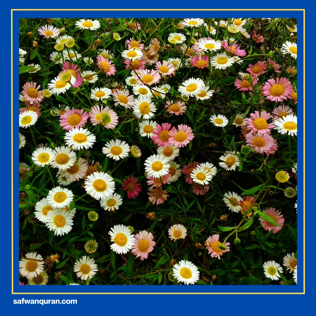 ayat alquran tentang bersyukur dan bersabar