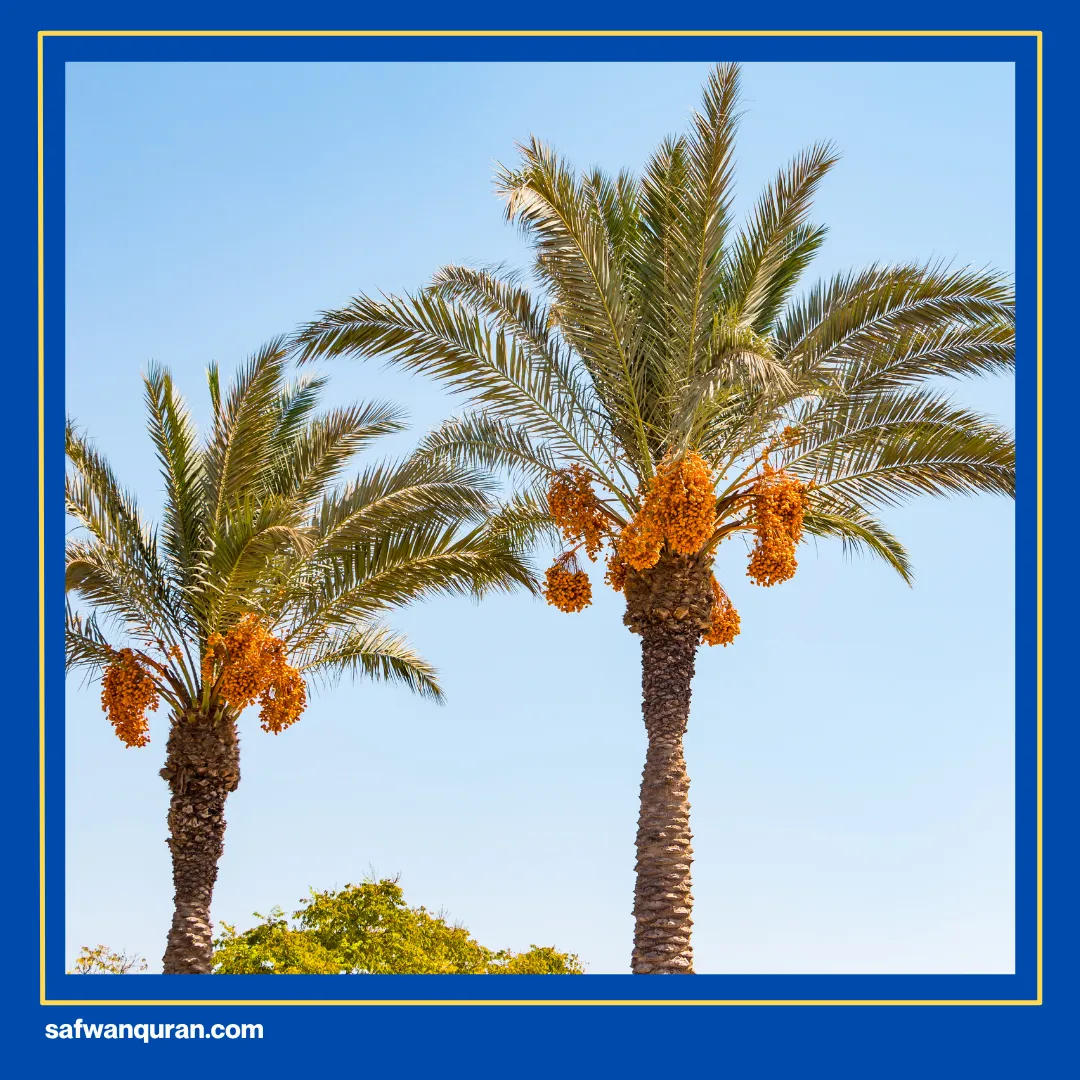 apa saja tujuh keajaiban dunia