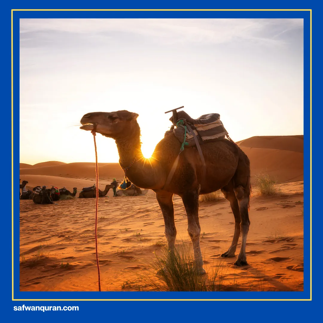 apa saja tujuh keajaiban dunia