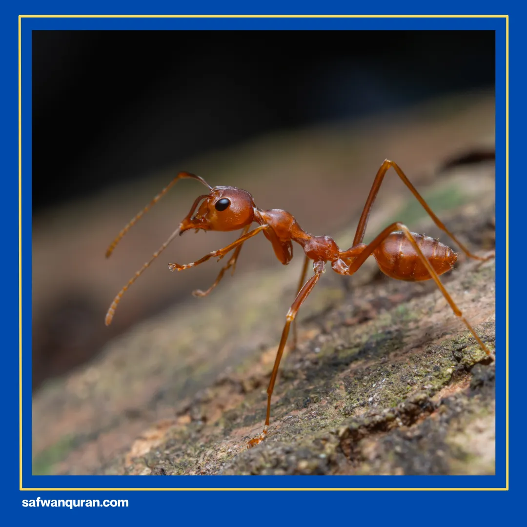 apa saja tujuh keajaiban dunia